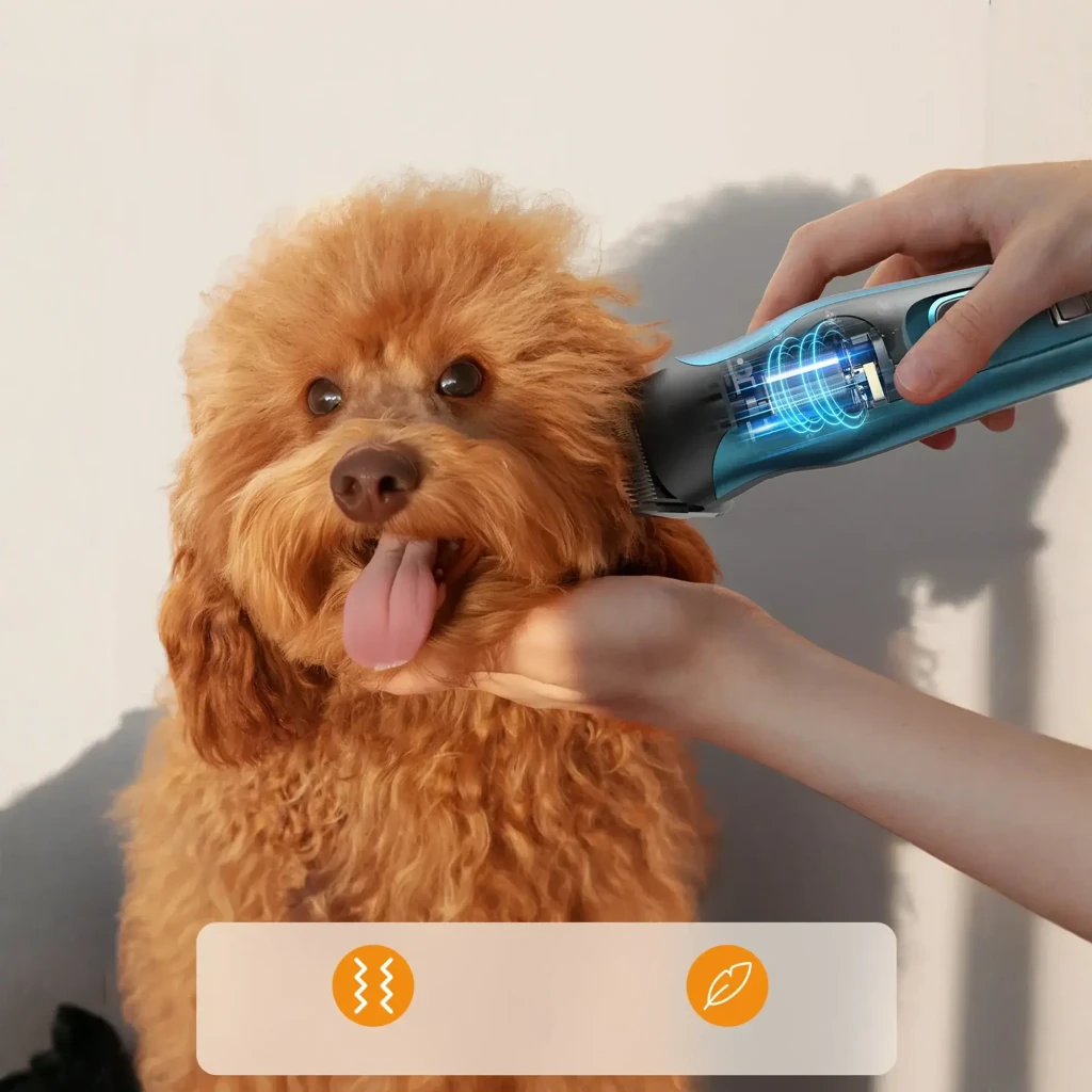 Oneisall Tondeuse animaux DTJ-001, utilisation: main tondant caniche, corps bleu illuminé visible, icônes silencieux