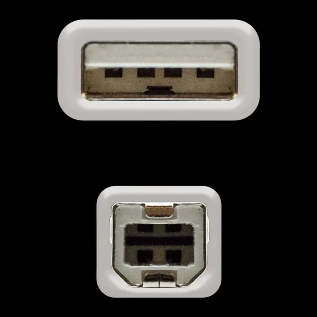 Câble Nanocable USB 2.0 Type A/M-B/M Imprimante 1,8 m Beige, détail: connecteurs type A et type B de face avec broches