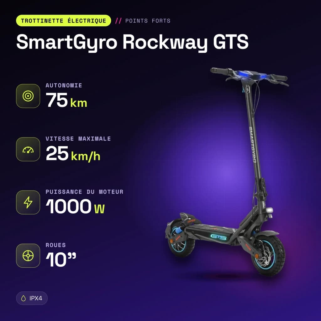 Patinete Eléctrico SmartGyro Rockway GTS 1000W 75km 25km/h 10 pulgadas Negro - características