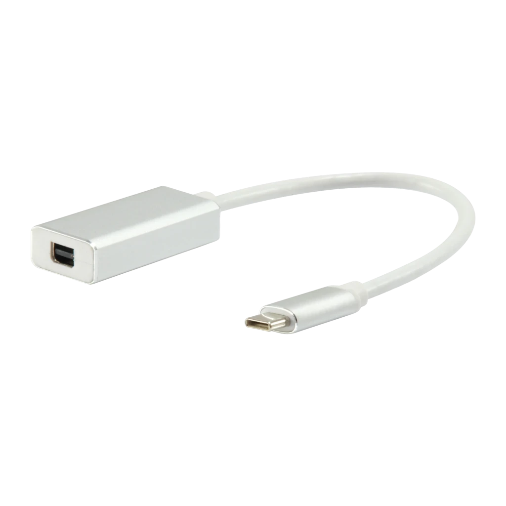 Adaptador Equip 133457 USB-C a Mini DisplayPort 0,15m Plata, vista frontal: cuerpo metálico plateado con puerto Mini DP