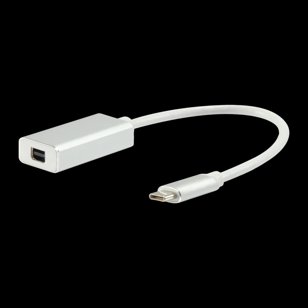 Adaptador Equip 133457 USB-C para Mini DisplayPort 0,15m Prata, vista frontal: corpo metálico prateado com porta Mini DP