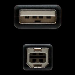 Câble Nanocable USB 2.0 Type A/M-B/M 3m USB-A vers USB-B Noir, détail: connecteurs mâle type A et type B vus de face