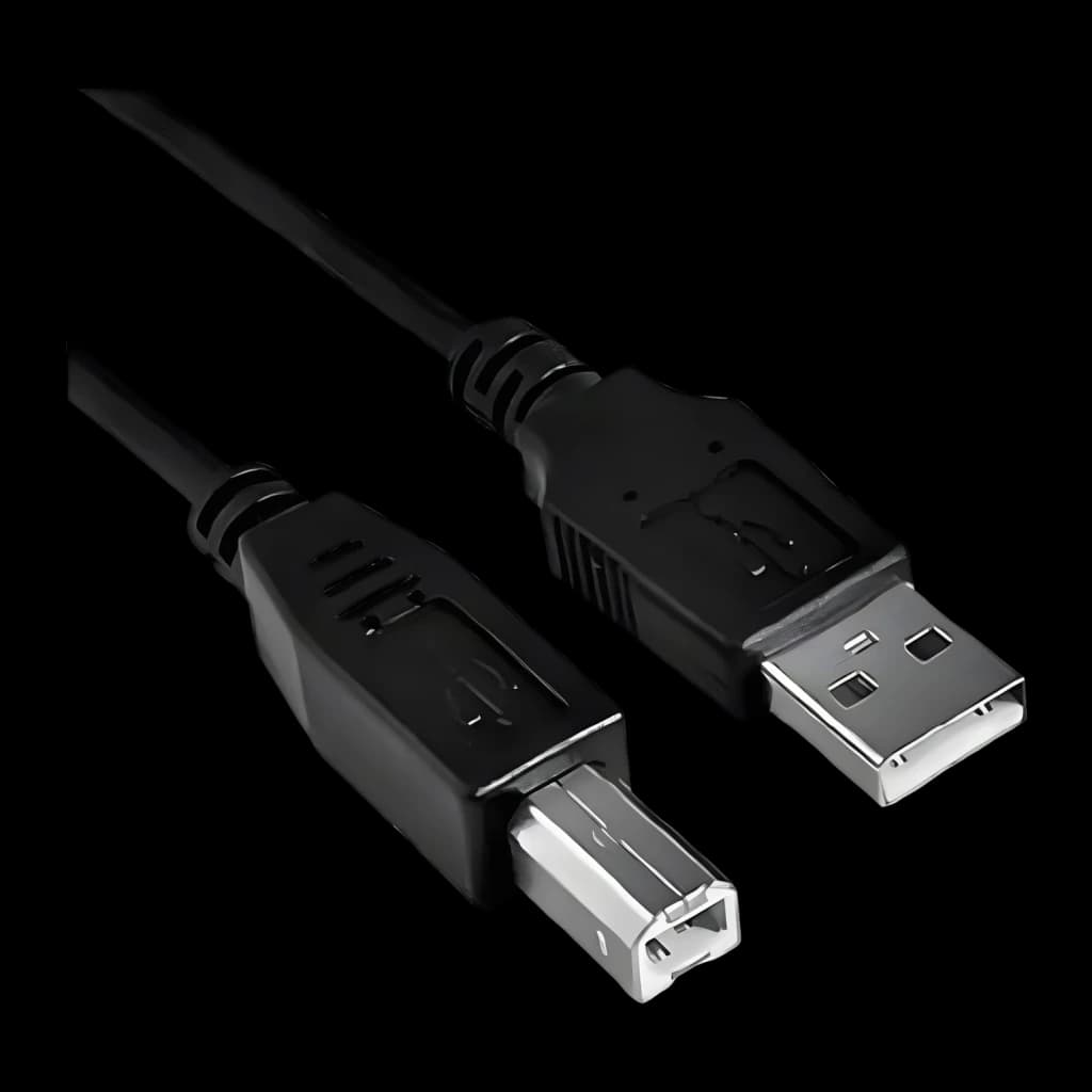 Câble Nanocable USB 2.0 Type A/M-B/M 3m USB-A vers USB-B Noir, détail: connecteurs USB-A et USB-B en gros plan