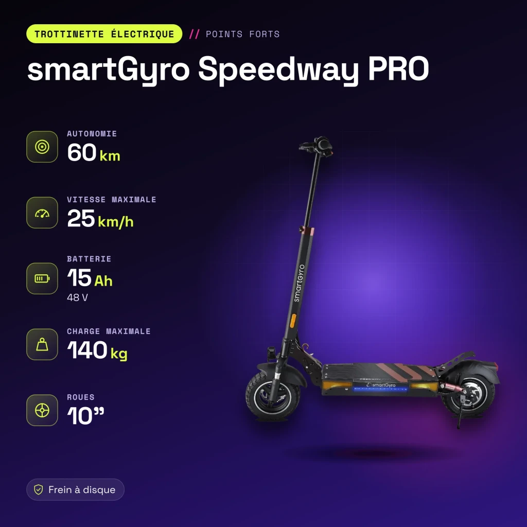 Patinete Eléctrico smartGyro Speedway PRO 800W 60km 25km/h 10 pulgadas Negro - características