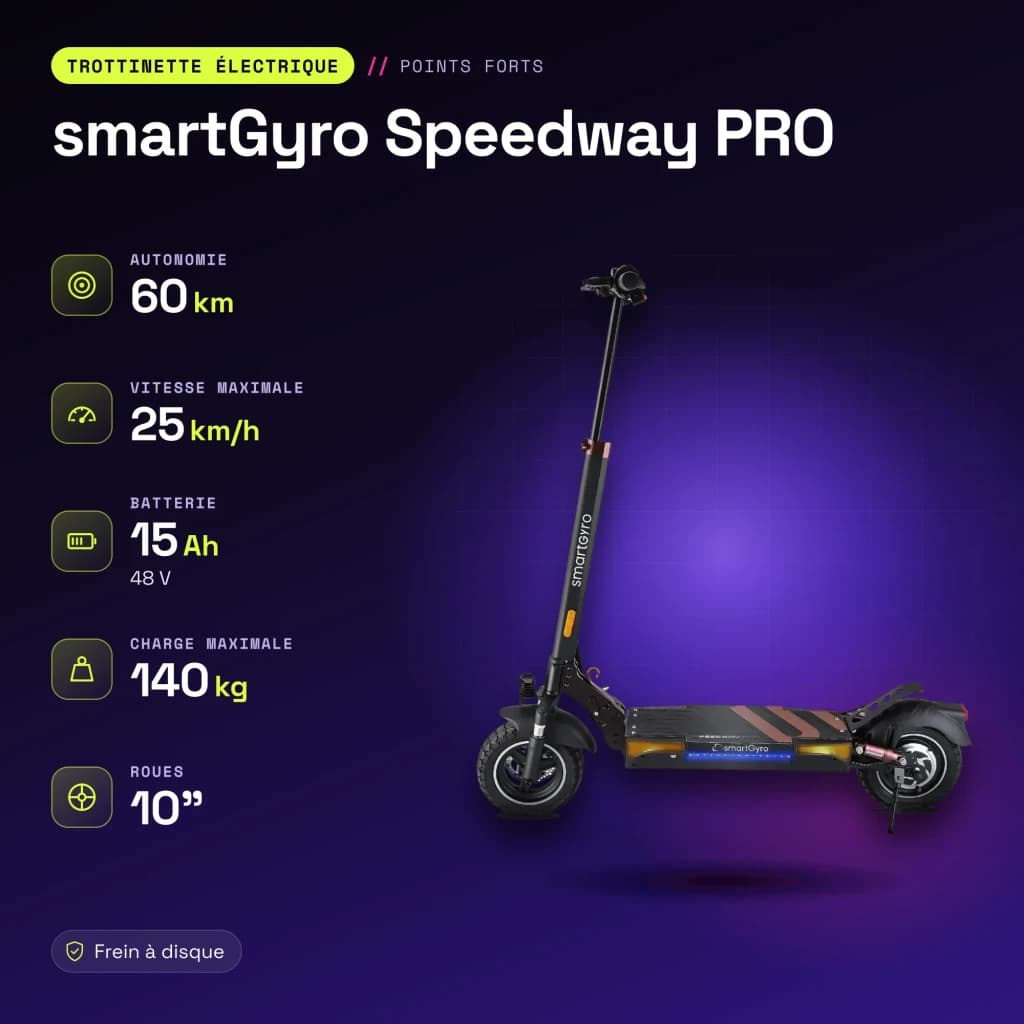Patinete Eléctrico smartGyro Speedway PRO 800W 60km 25km/h 10 pulgadas Negro - características