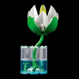 Set de construcción LEGO Botanicals Nenúfares 11511 259 piezas A partir de 9 años, detalle: flor blanca con tallo verde