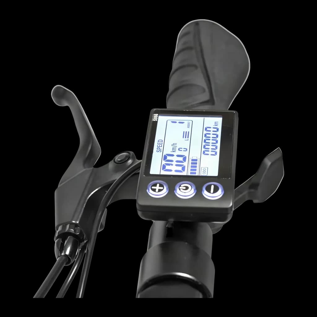 Patinete eléctrico smartGyro SpeedWay V2.0 800W 45km/h 10 pulgadas Negro/Azul, detalle: pantalla LCD con velocímetro