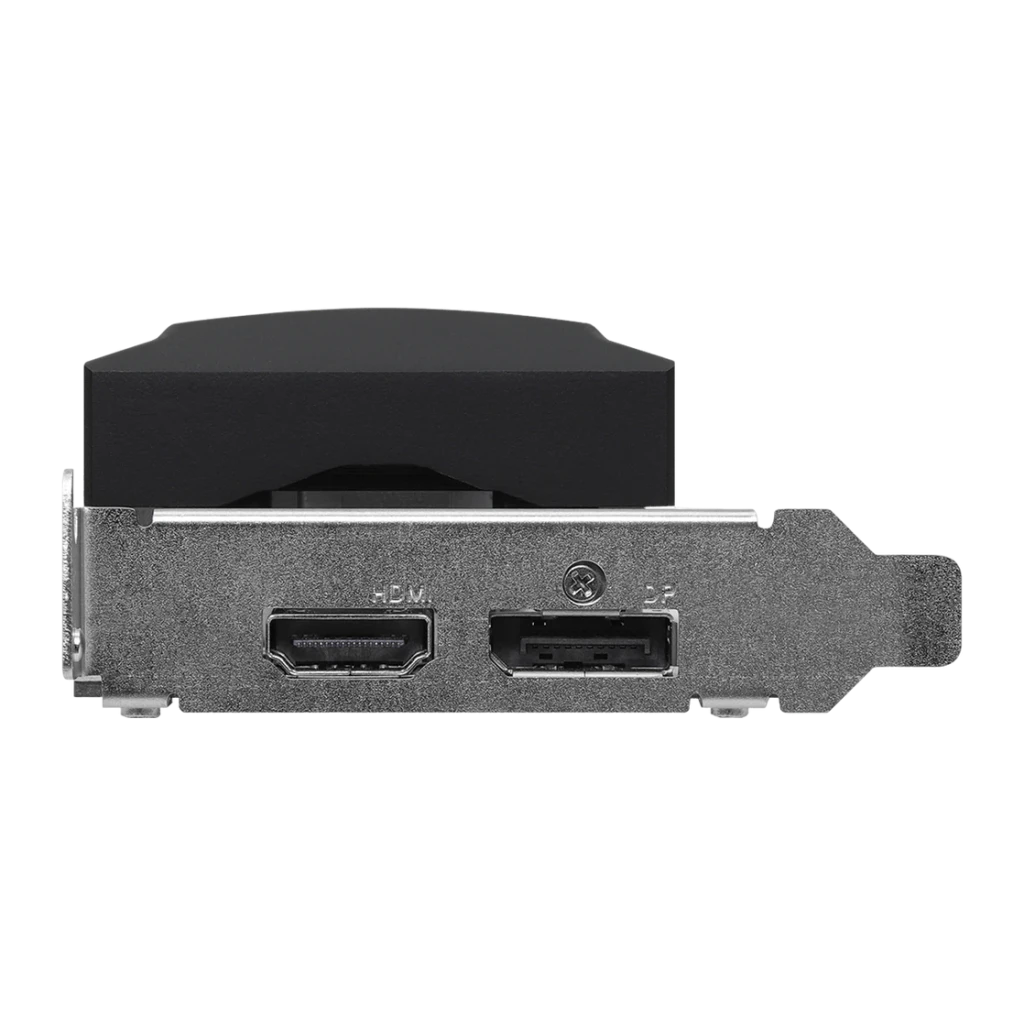 ASRock Arc A310 Low Profile 4 Go GDDR6 Noir, vue arrière: équerre métallique avec port HDMI et DisplayPort
