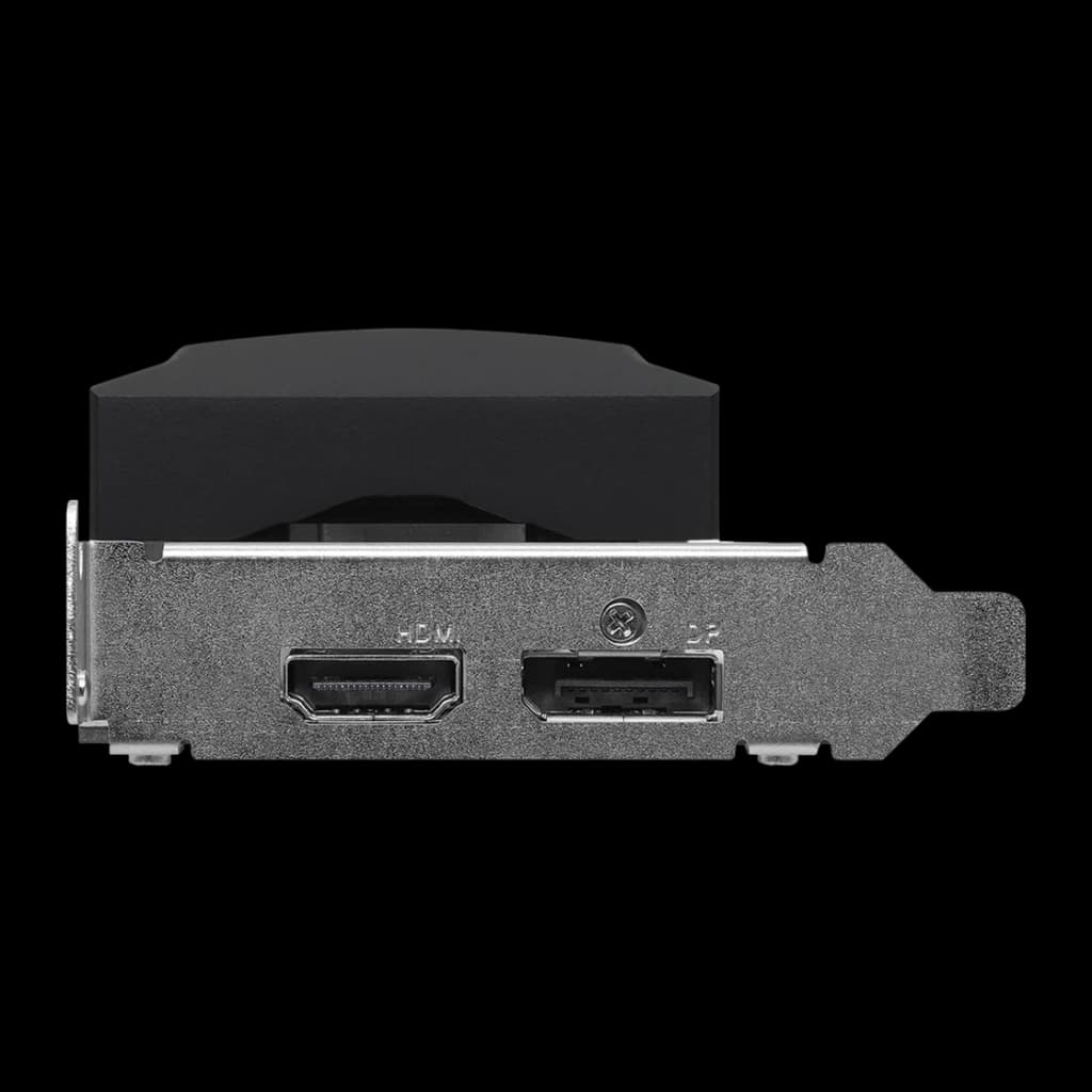 ASRock Arc A310 Low Profile 4 Go GDDR6 Noir, vue arrière: équerre métallique avec port HDMI et DisplayPort