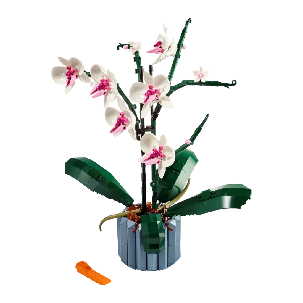 Set LEGO Botanicals Orchidées 10311 608 pièces 18+ ans, vue de face: fleurs blanches à cœur rose sur pot bleu gris