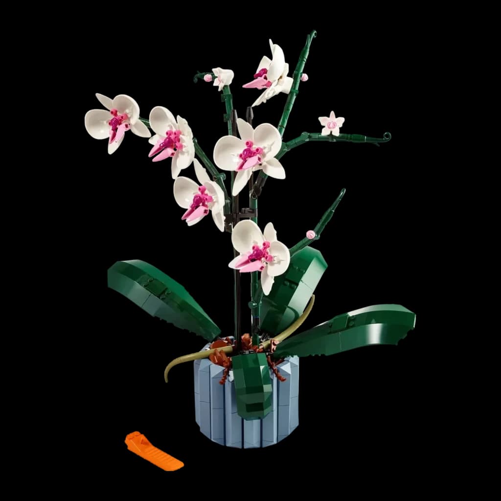 Set LEGO Botanicals Orchidées 10311 608 pièces 18+ ans, vue de face: fleurs blanches à cœur rose sur pot bleu gris