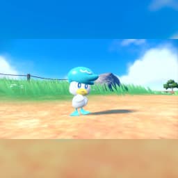 Jeu Nintendo Pokémon Violet pour Switch (version standard), en jeu: Quaxly sur chemin de terre avec ciel bleu et montagne
