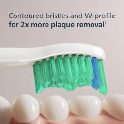 Tête de brosse à dents Philips Sonicare C1 ProResults Pack 6 Blanc HX6016/87, détail: soies vertes profil W sur dents