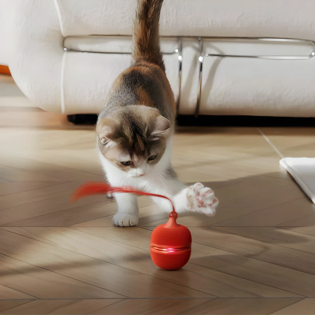 Jouet interactif Cheerble Wicked Ball Duo 2 Batterie intégrée Chat Rouge, en action: chat frappant la balle rouge avec plume