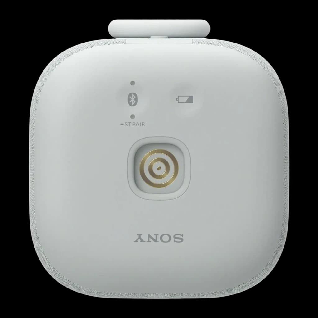 Enceinte portable Sony SRS-LS1 25h Bluetooth Gris Clair, vue arrière: connecteur de charge doré, indicateurs Bluetooth