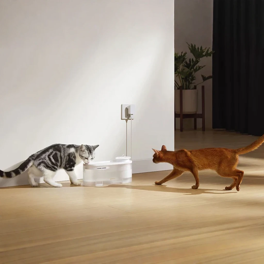 Fontaine automatique MOVA WF10 Pro 1,5L Blanc Filtre en coton, en utilisation: deux chats buvant et s'approchant