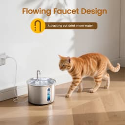Bebedero automático Oneisall 2L Acero Inoxidable PWF-001-1, en uso: gato anaranjado acercándose al grifo de agua circulante
