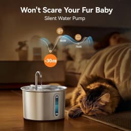 Bebedero automático Oneisall 2L Acero Inoxidable PWF-001-1, en uso: gato durmiendo junto a la fuente encendida, bomba