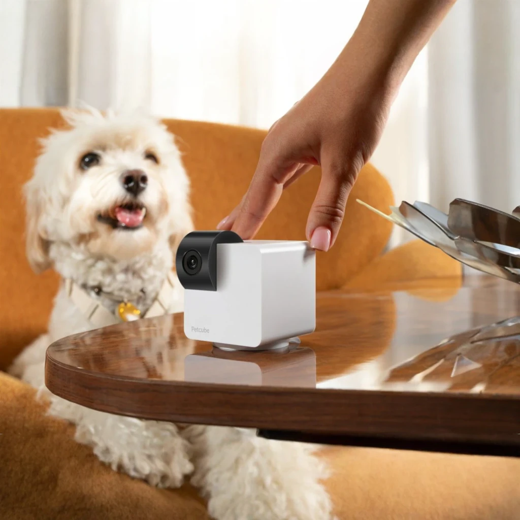 Cámara para mascotas Petcube Cam 360 WiFi 1080p Visión Nocturna Blanco, en uso: mano ajustando la cámara en mesa con perro