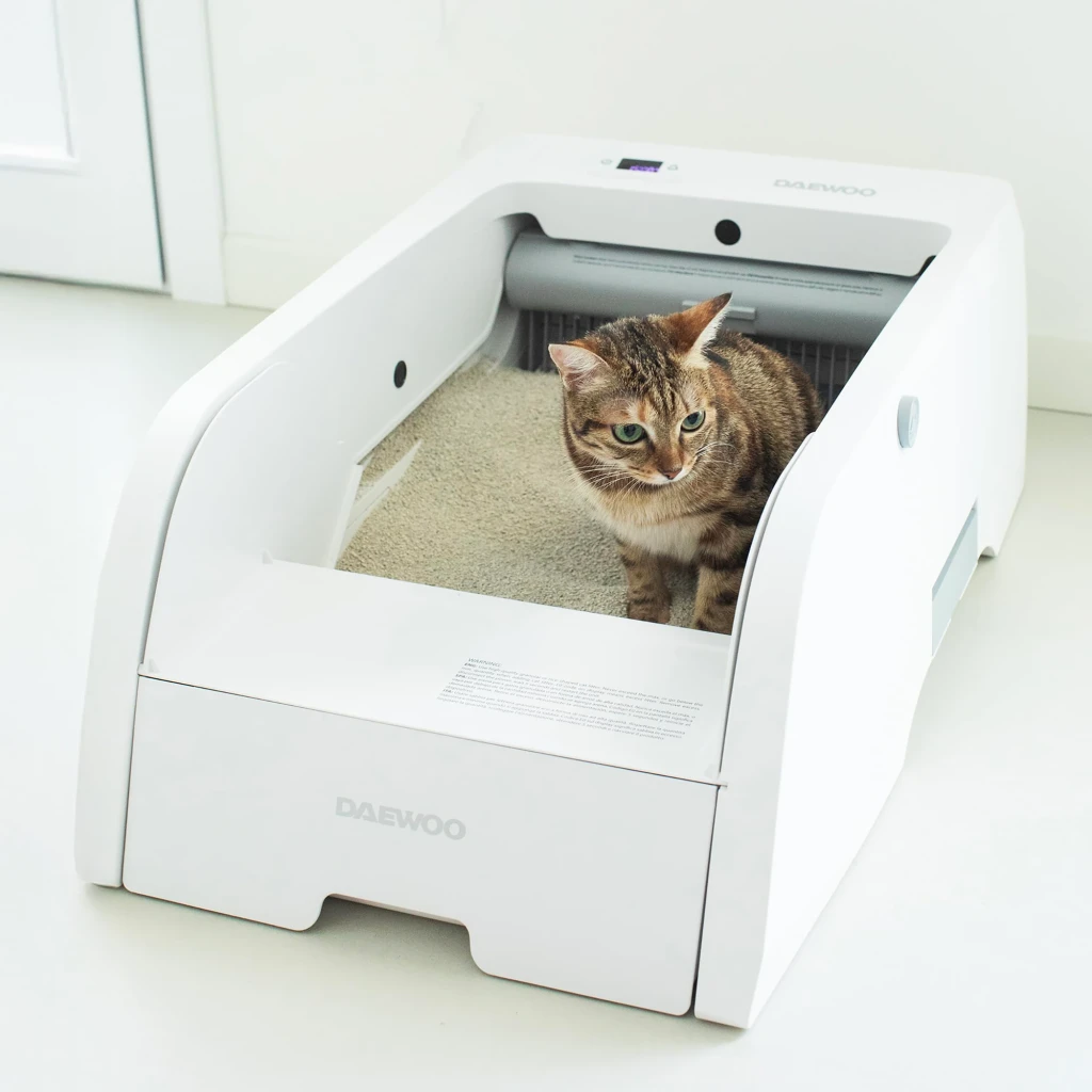 Litière Autonettoyante Daewoo 5L Gris App Tuya D-HIPC102W, en utilisation: chat dans la litière ouverte avec sable et râteau