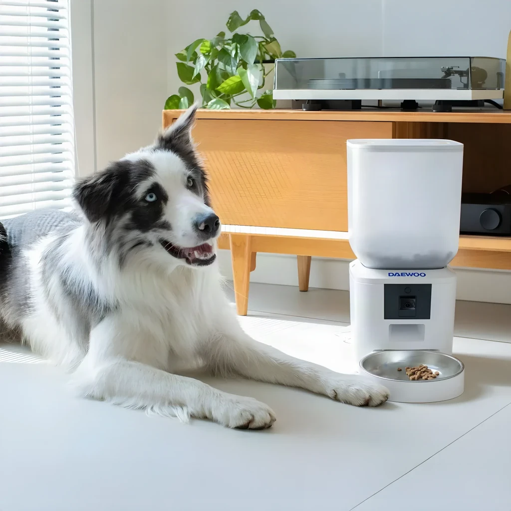 Distributeur Automatique Daewoo 7L Blanc Caméra Full HD 1080p D-QQ029-7L, en utilisation: border collie couché à côté