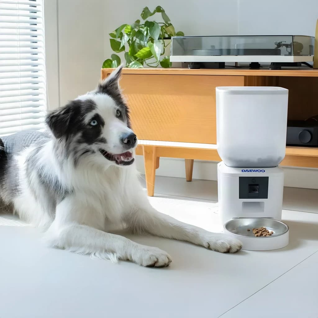 Distributeur Automatique Daewoo 7L Blanc Caméra Full HD 1080p D-QQ029-7L, en utilisation: border collie couché à côté