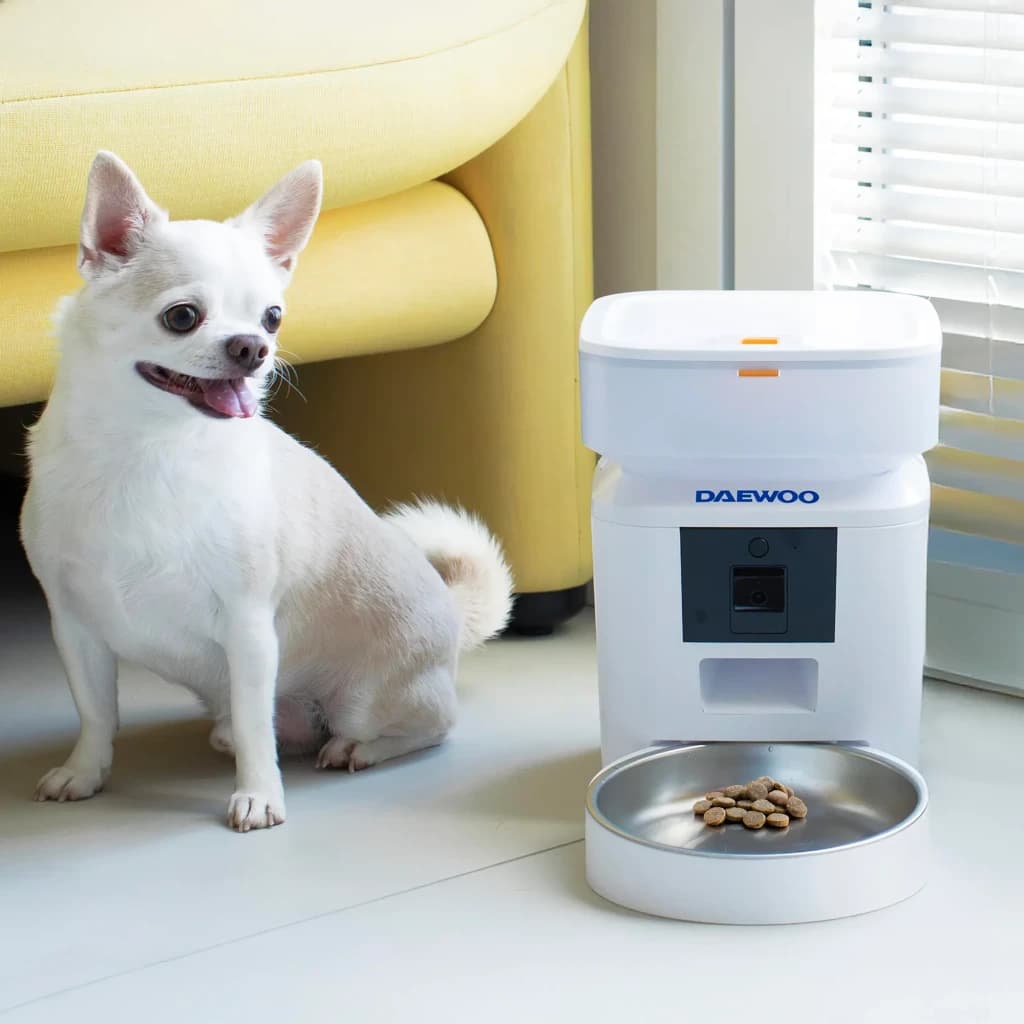 Mangeoire Automatique Daewoo 2L Blanc Caméra Full HD 1080p D-QQ039-2L, en utilisation: chihuahua blanc à côté