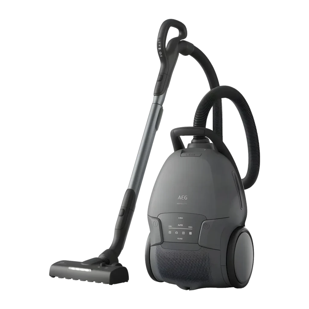 Aspiradora con Bolsa AEG Gris 650W AB81A2DG