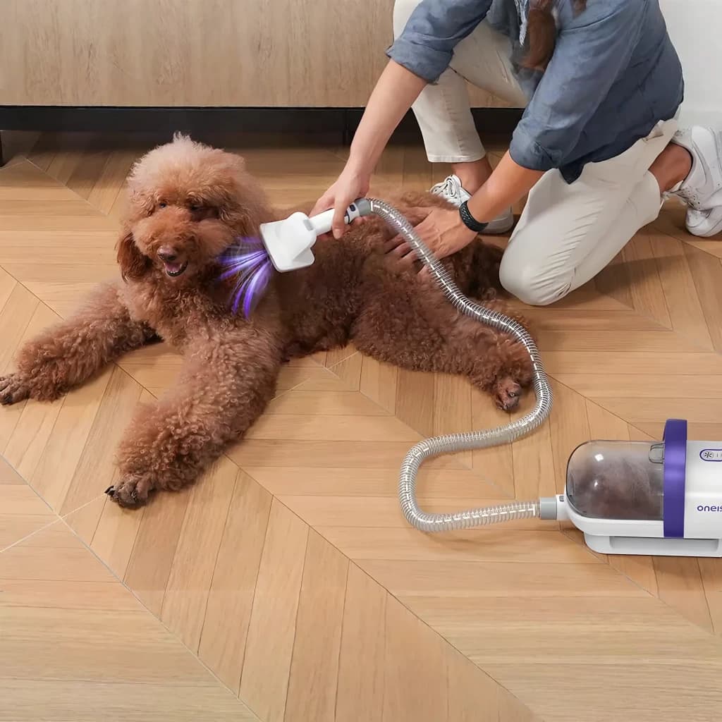 Kit de aseo Oneisall LM5 Perros y gatos, en uso: persona cepillando caniche rizado con accesorio aspirador conectado