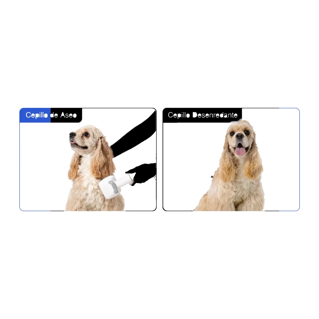 Kit de aseo Neakasa P0 Pro Blanco, antes y después: cepillo blanco usado en cocker spaniel, pelaje más liso