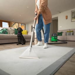 Aspirateur cylindrique Numatic GVE370-2 Vert 1000W Sec et humide, en action: nettoyage d'un tapis en salon avec un chien noir