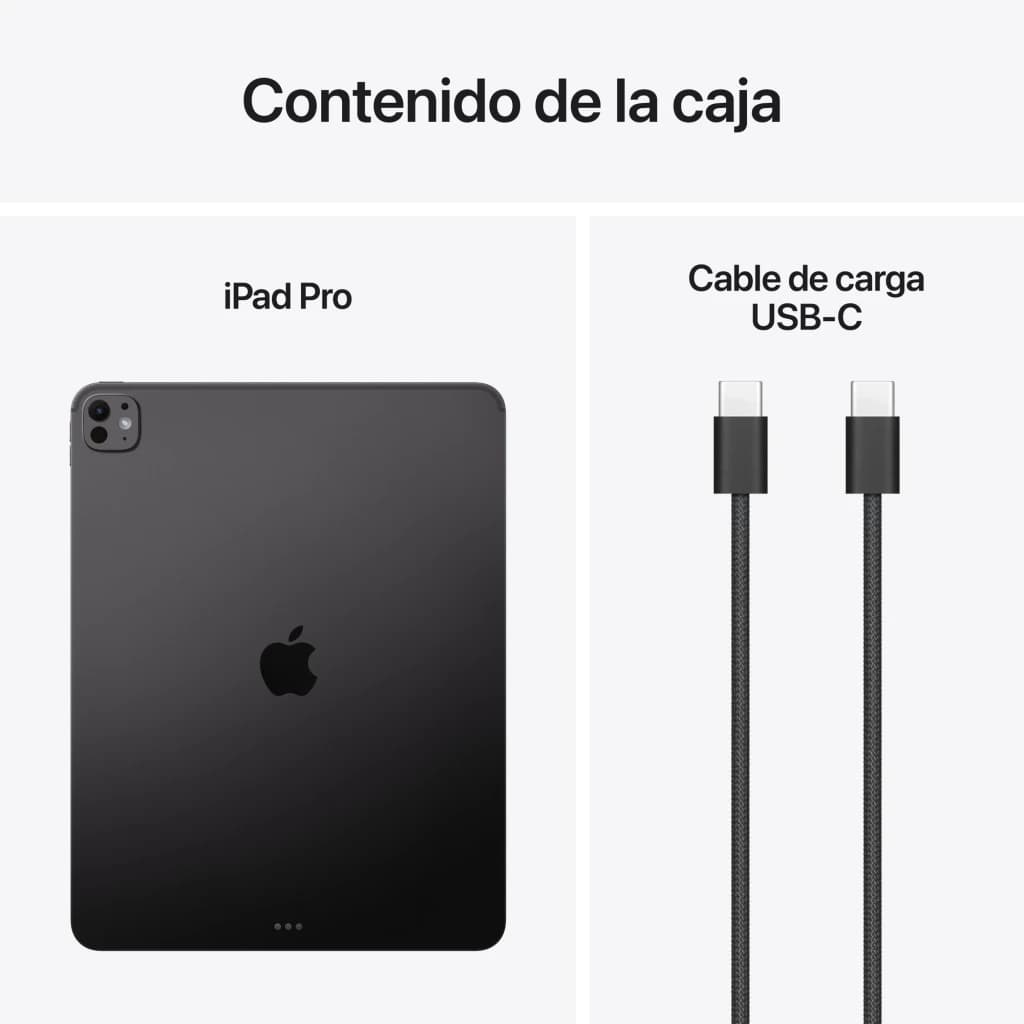 Apple iPad Pro 13 pouces M5 256Go Noir OLED 120Hz - dos avec module caméras et câble USB-C tressé noir