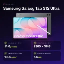 Samsung Galaxy Tab S12 Ultra 12Go/512Go Gris S Pen inclus 14,6 pouces Dynamic AMOLED 2X 11600mAh - caractéristiques, 4,21 GHz