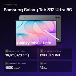 Samsung Galaxy Tab S12 Ultra 5G 12GB/256GB Cinzento S Pen incluído Dynamic AMOLED 2X 120Hz - características, 12 GB