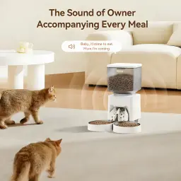 Distributeur Automatique Rojeco Double 4,5L WiFi App Blanc - deux chats s'approchant du distributeur à double bol