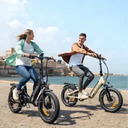 Vélo électrique pliant ENGWE L20 3.0 Boost 250W 135km 25km/h Or - couple roulant sur un front de mer, versions