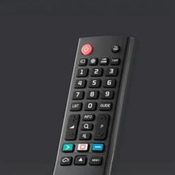 Mando a distancia One For All URC1311 Negro Inalámbrico IR LG TV