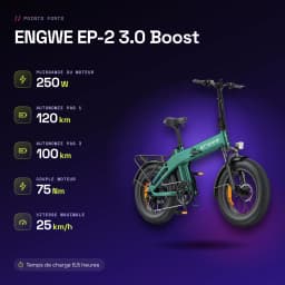 Bicicleta eléctrica plegable ENGWE EP-2 3.0 Boost 250W 120km 25km/h 20 pulgadas Verde - características, 48 V 13,5 Ah 648 Wh
