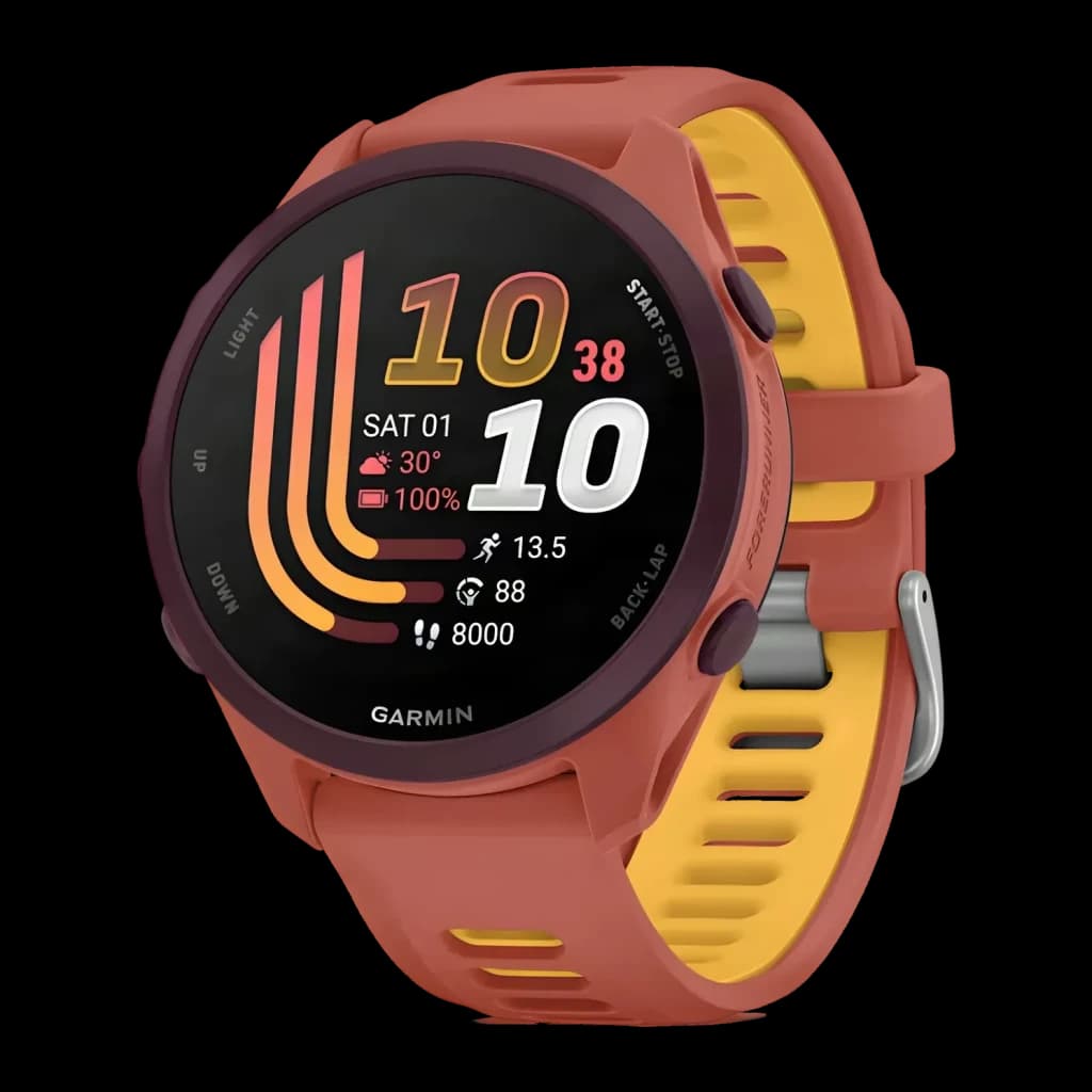 Garmin Forerunner 170 Music 42mm GPS 240h Rose