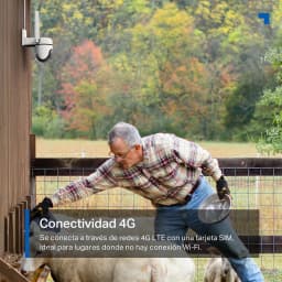 Cámara de Vigilancia TP-Link Tapo 4G 1080p IP66 Blanco TC40GW - montada en pared de granja vigilando ovejas
