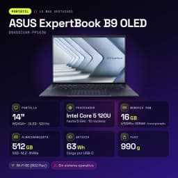 ASUS ExpertBook B9 OLED 16GB Preto - características