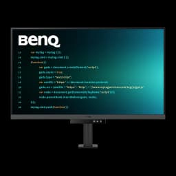 Monitor BenQ 31,5 pulgadas 4K IPS 60Hz 5 ms Negro RD320UA