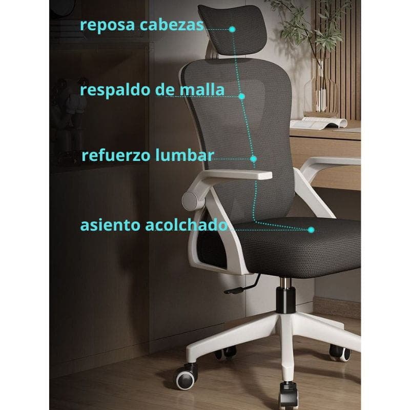 Características do Powerbasic Lagos