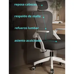 Características do Powerbasic Lagos