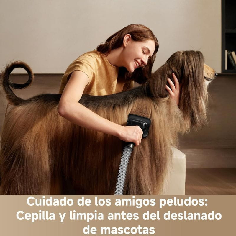 Dreame Z40 - Aspirateur sans fil - Ítem7