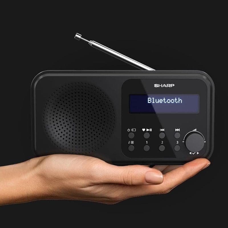 Sharp DR-P420 Bluetooth - Radio numérique portable image dans la main d'une personne