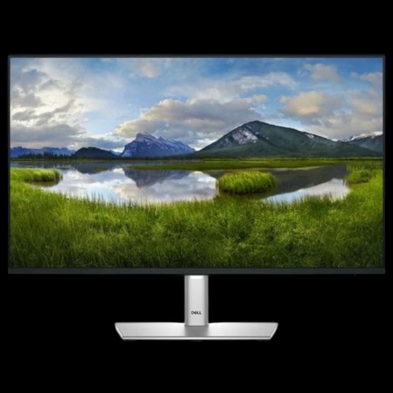 DELL P Series P2425H 24 Full HD LCD IPS 100 Hz Negro