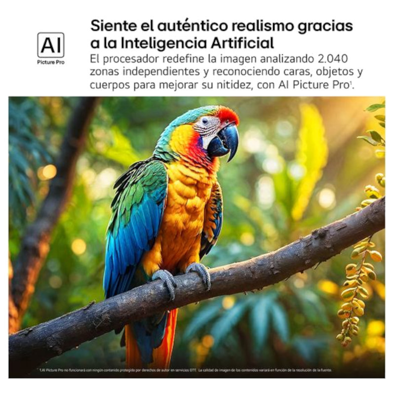 LG QNED evo AI 65QNED87A6B 65 4K Ultra HD Mini LED Smart TV Wifi Noir - Ítem6