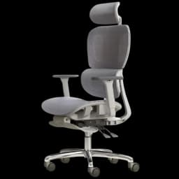 Powerbasic Tondela - Silla de Oficina Ergonómica