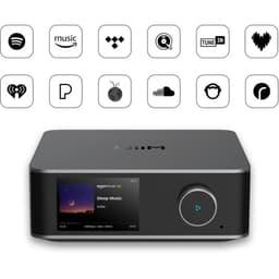 WiiM Ultra - Préamplificateur audio Gris foncé, compatibilité avec les applications